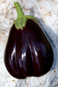 Eggplant at 1840 Farm