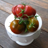 Heirloom Tomatoes at 1840 Farm